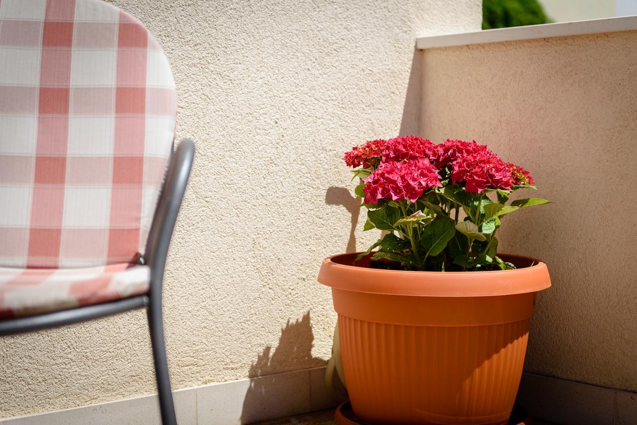 טרוגיר Apartments Kudelik מראה חיצוני תמונה